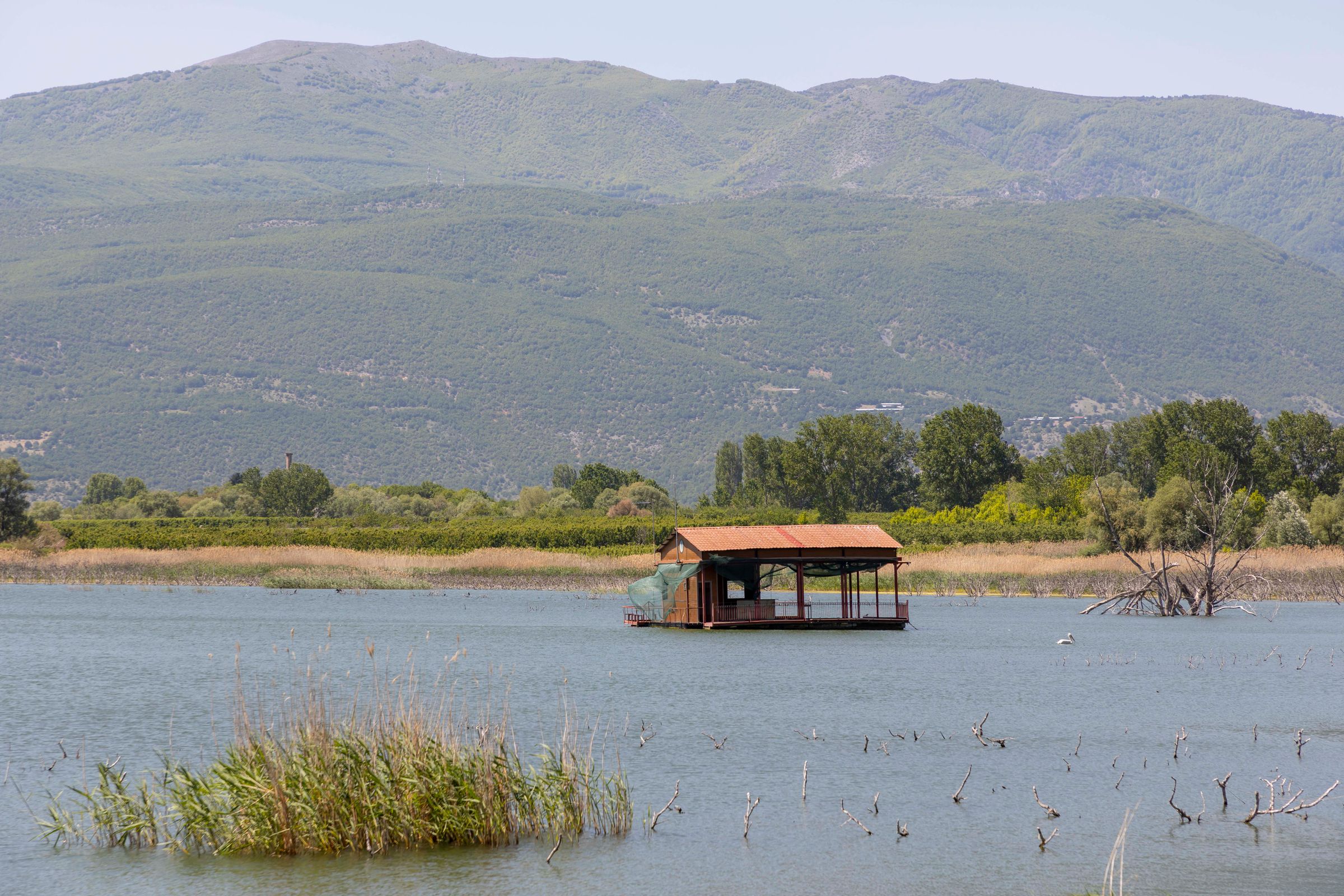 Lake Vegoritida 